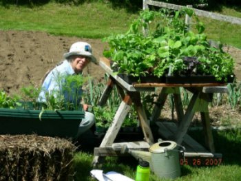 Good Earth Farm